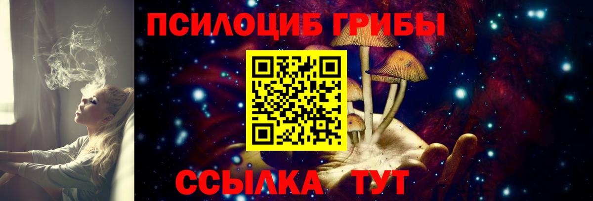 цена наркотик  Псилоцибиновые грибы прущие грибы  Вход с VPN  Нефтекумск 